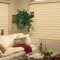 blinds 10
