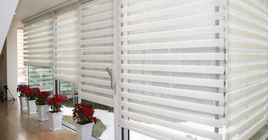 blinds 4