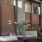 blinds 6