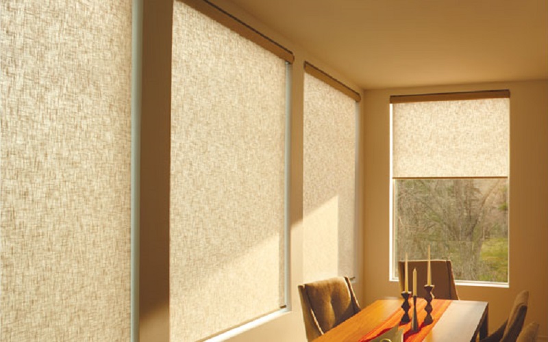 Designer Roller Shades