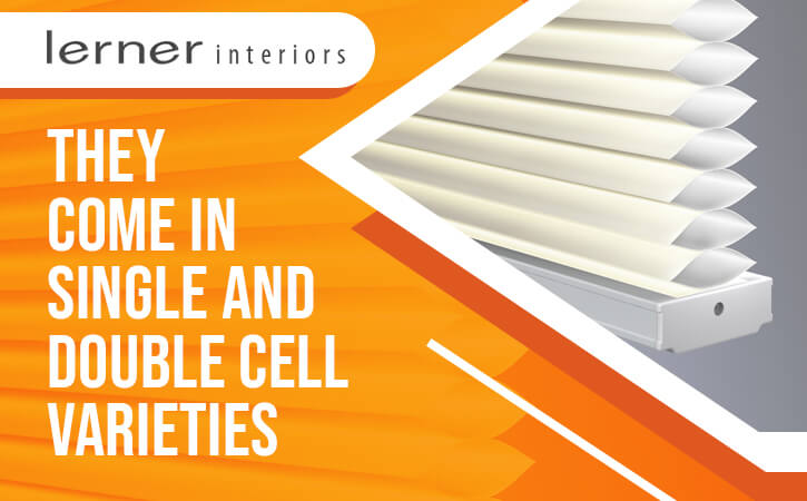 They Come in Single and Double Cell Varieties
