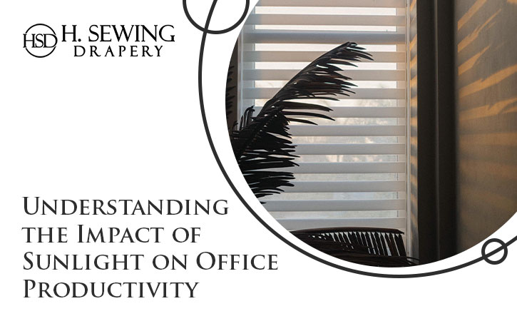 Understanding the Impact of Sunlight on Office Productivity 